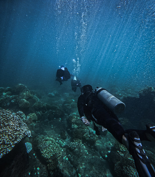 Experiencia Snorkel Privado Balandra