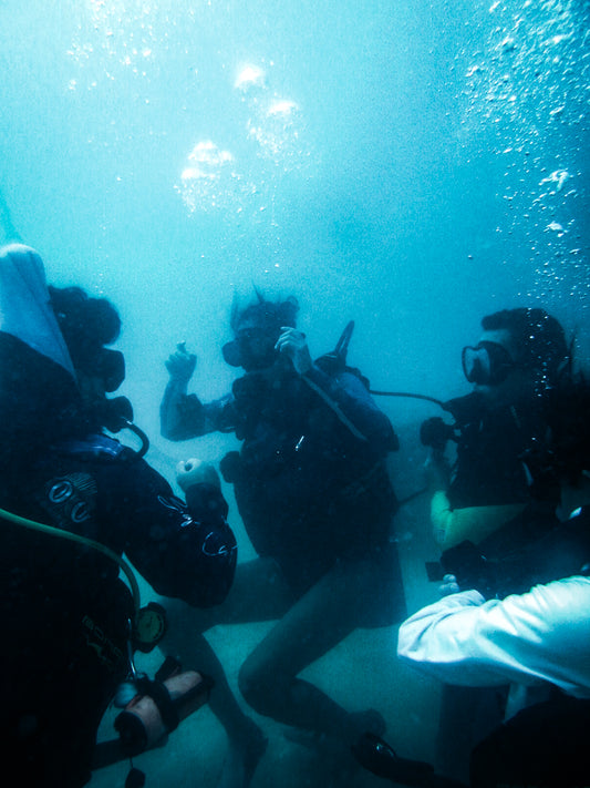 Experiencia Snorkel Isla Espíritu Santo